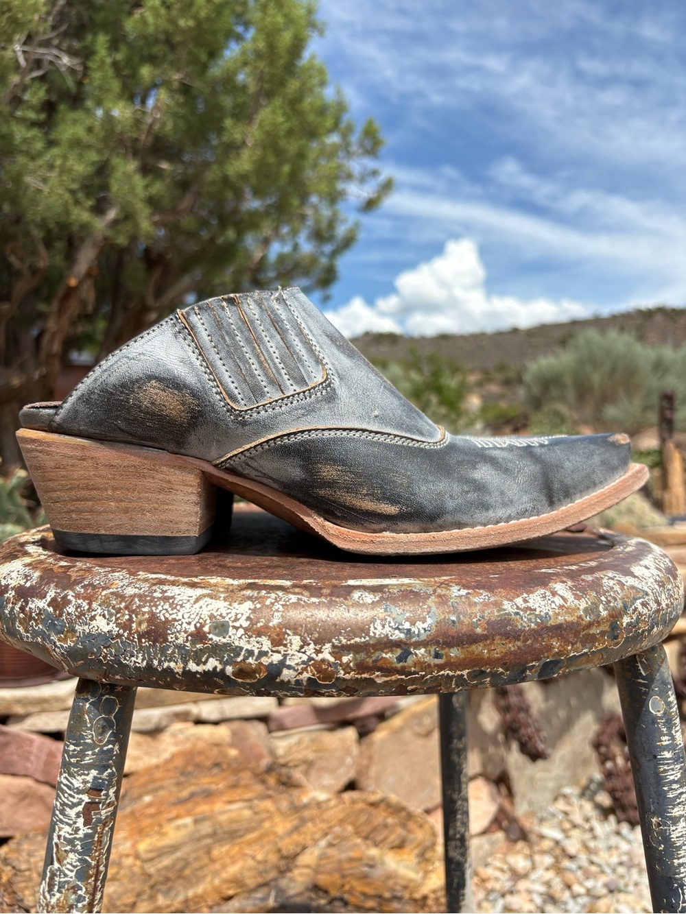 Freebird By Steven Wentworth Mules